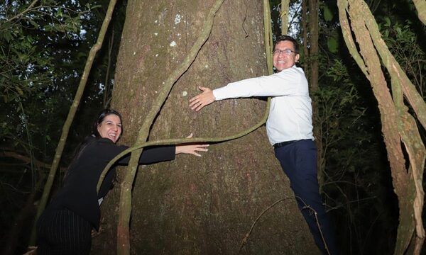 Majestuoso tajy quedó con el concurso “Colosos de la tierra”