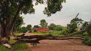 Varios distritos de Paraguarí quedaron sin energía eléctrica tras fuertes ráfagas de viento - Nacionales - ABC Color