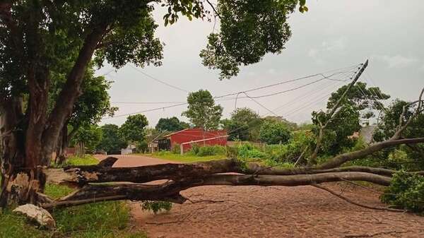Varios distritos de Paraguarí quedaron sin energía eléctrica tras fuertes ráfagas de viento - Nacionales - ABC Color