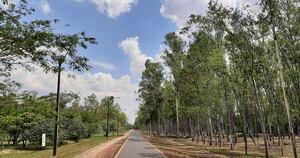 La Nación / Conmemoran el 12.º aniversario del Parque Guasú Metropolitano