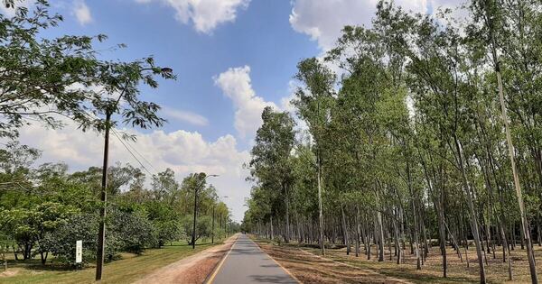 La Nación / Conmemoran el 12.º aniversario del Parque Guasú Metropolitano
