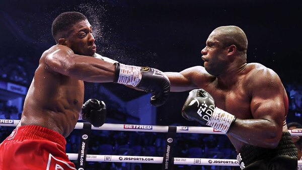 Versus / Dubois defiende el cinturón IBF contra Joshua ante una multitud en Wembley