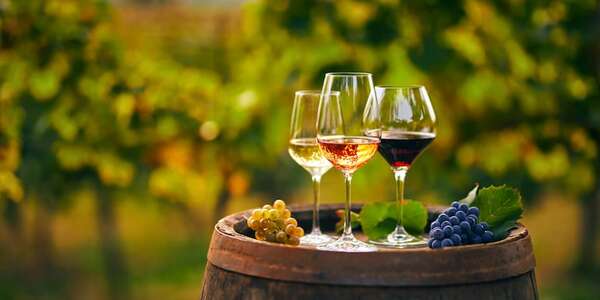 Vinos tintos, blancos y rosados: la guía definitiva sobre sus temperaturas ideales - Gastronomía - ABC Color