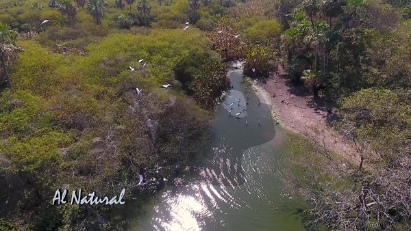 SNT Al Natural: Chiquitania - SNT