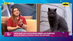 ¿Por qué a los gatos no les gustan las puertas cerradas? Conocé el motivo  - Ensiestados - ABC Color