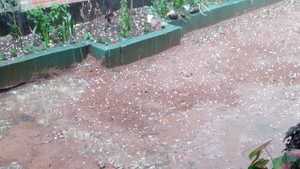 De norte a sur, se reportan caída de granizos en varios puntos del país