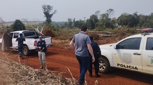 Imputan a cuatro personas por tala ilegal de bosques en Filadelfia