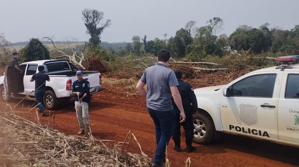 Imputan a cuatro personas por tala ilegal de bosques en Filadelfia