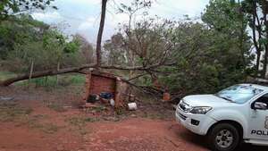 Video: árbol caído por tormenta dejó a policías sin servicio radio base, internet y agua - ABC en el Este - ABC Color