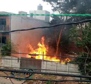 Villa Elisa: vecinos queman colmena de abejas y se provocó un gran incendio - Nacionales - ABC Color