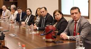 La comisión “garrote” es una máquina para perseguir, afirma senadora - Política - ABC Color