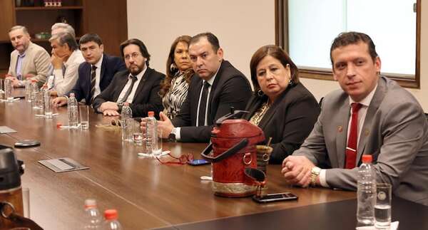 La comisión “garrote” es una máquina para perseguir, afirma senadora - Política - ABC Color
