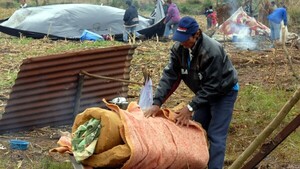 Asesor de Peña admite que Estado regaló tierras a jerarcas stronistas