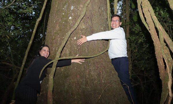 Majestuoso Tajy se quedó con el concurso “Colosos de la tierra” – Diario TNPRESS