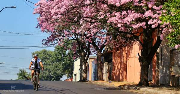 La Nación / ¡Llegó la primavera! Anuncian para hoy una jornada calurosa