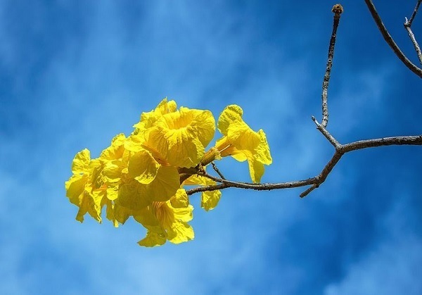 Inicio de la primavera: Ambiente fresco al amanecer y calor extremo durante el día