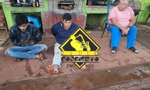 Desbaratan gavilla de criminales