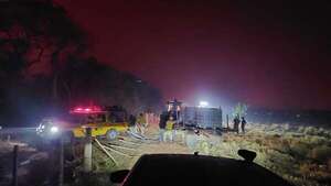 Combatientes dan dura batalla para apagar los incendios forestales en el Chaco - Noticias del Chaco - ABC Color