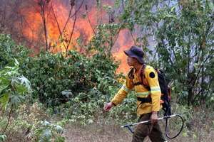 Bomberos y expertos europeos llegan a Bolivia para combatir incendios forestales - Mundo - ABC Color