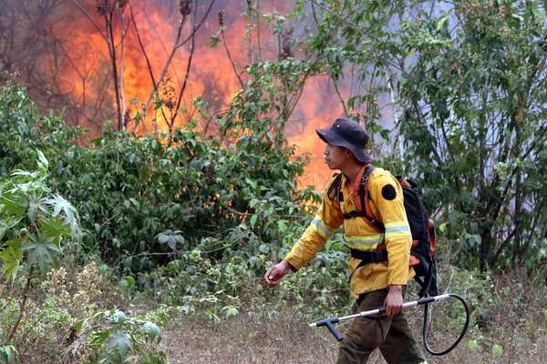 Bomberos y expertos europeos llegan a Bolivia para combatir incendios forestales - Mundo - ABC Color