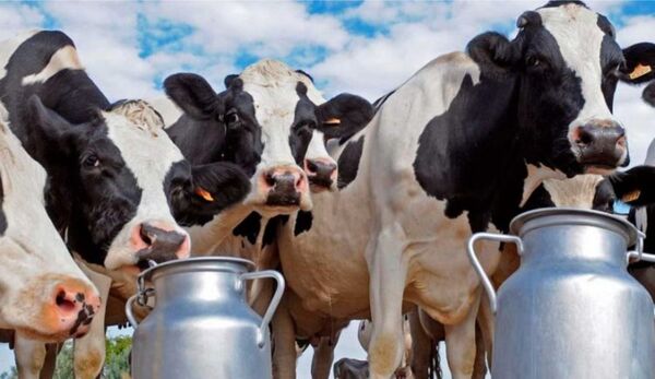 Asistencia técnica para productores lecheros