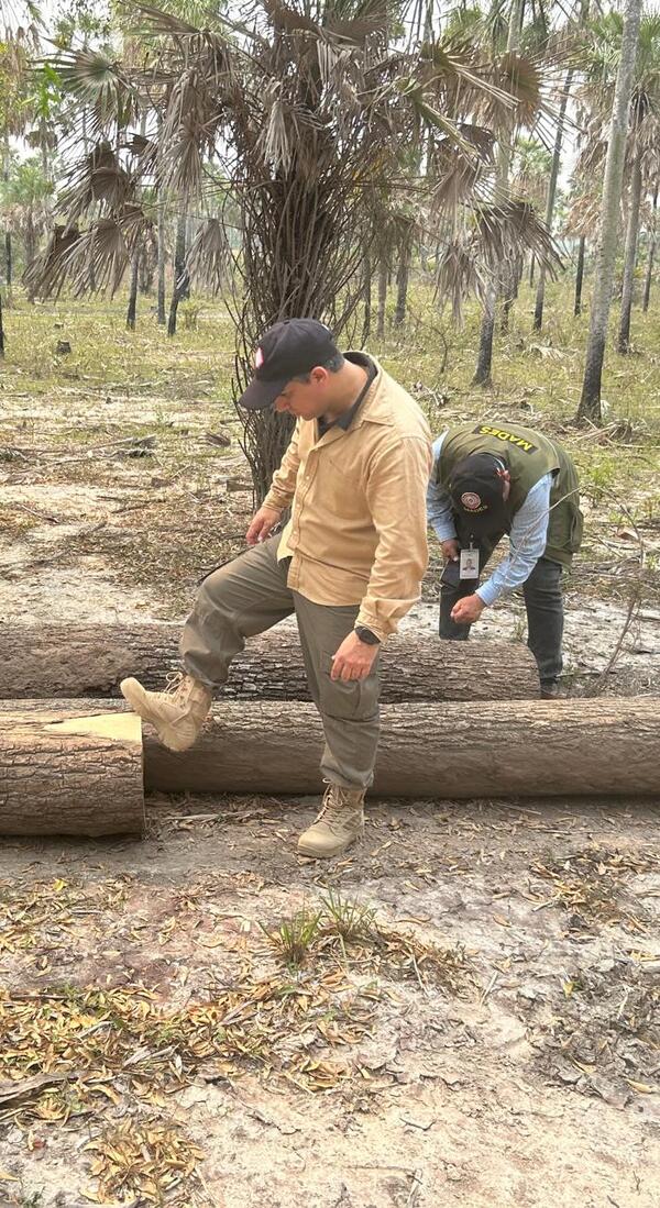Avances en las investigaciones sobre deforestación y caza ilegal en el Chaco