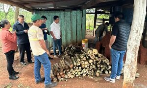 Capacitan a productores en Mallorquín
