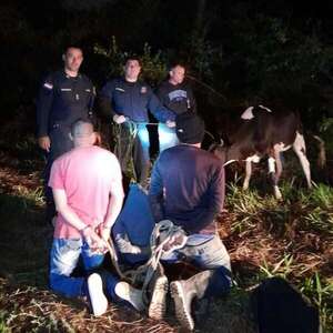 Villeta: Policía sorprende a tres supuestos abigeos cuando sacaban un animal de una propiedad privada - Nacionales - ABC Color