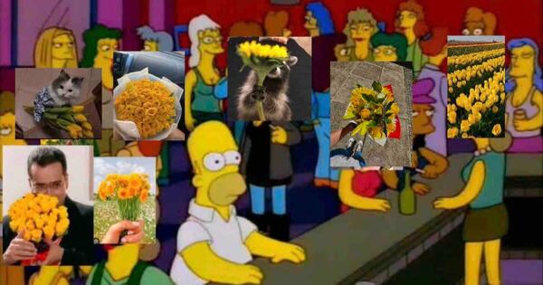 La Nación / El boom de las flores amarillas desató tormenta de memes