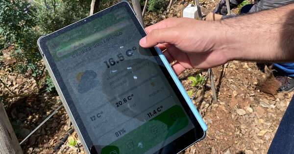 Diario HOY | Desarrollan app para mejorar gestión de pequeños productores
