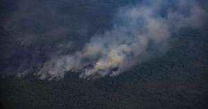 La Nación / Los incendios forestales en Perú dejan 20 muertos