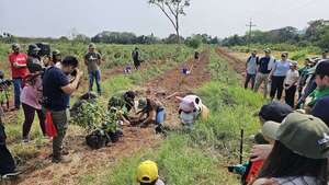 Plantan 700 arbolitos en Reserva Guarapí en Yaguarón - Nacionales - ABC Color