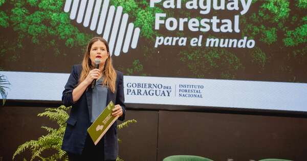 Autoridades diseñan estrategias para fortalecer la industria forestal