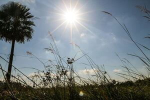 Ambiente caluroso y baja probabilidad de lluvias, anuncia Meteorología - .::Agencia IP::.