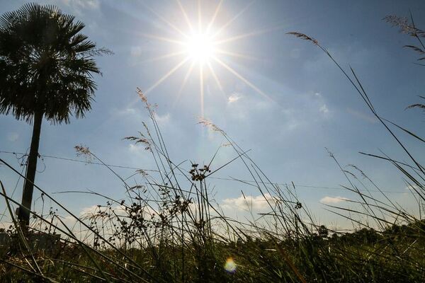Ambiente caluroso y baja probabilidad de lluvias, anuncia Meteorología - .::Agencia IP::.