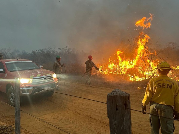 Extranjeros no sujetos a la Reforma Agraria son dueños de tierras arrasadas por el fuego - La Clave