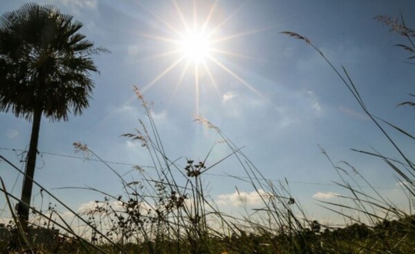 Ambiente caluroso y baja probabilidad de lluvias, anuncia Meteorología