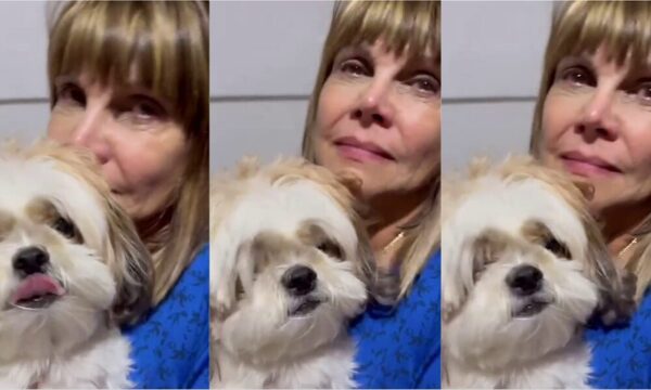 [VIDEO] ¿Qué pasó? ¡Pelusa Rubín apareció llorando en sus redes!