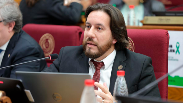Impulsan proyectos para mejorar la seguridad de turistas y transeúntes en las ciudades