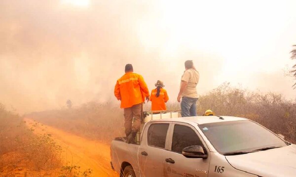 Los focos de incendio en la reserva Chovoreca están casi extinguidos, afirma la SEN – Prensa 5