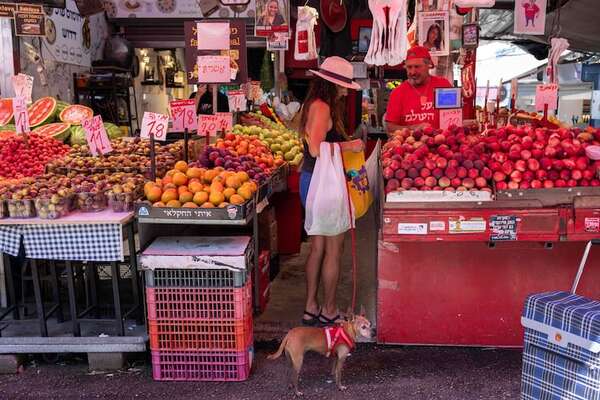 Con tu perro al supermercado - Mascotas - ABC Color