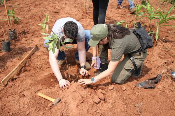 Más de 700 árboles fueron plantados en la novena edición de “Paraguay Planta” - Unicanal