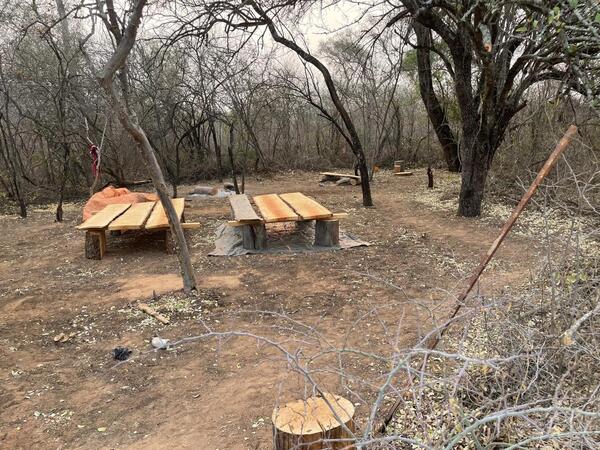 Imputaron a cuatro ciudadanos por tala ilegal de bosques en Filadelfia