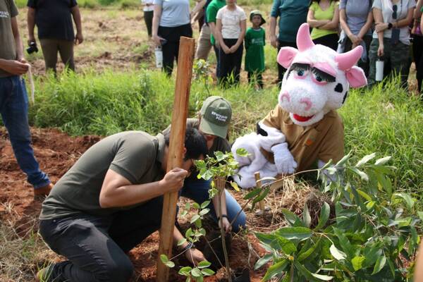 En día de la primavera se plantaron 700 arbolitos