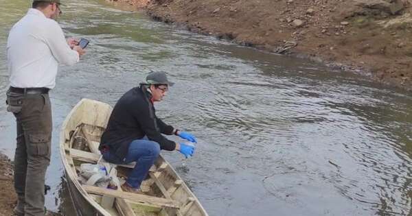 Diario HOY | Mortandad de peces en ríos sería consecuencia de bajante crítica, Mades interviene