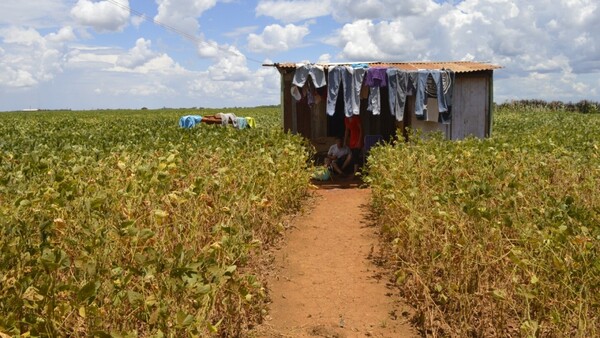 Desigualdad y pobreza: La realidad de la juventud paraguaya en zonas rurales