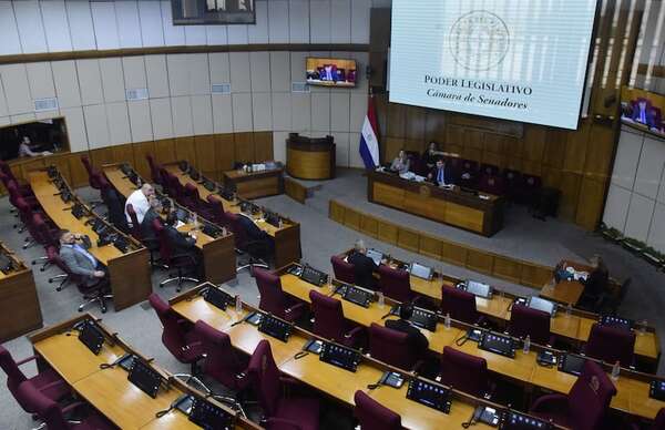 Sesión pública de comisión “garrote”: “lo más resaltante es la contundencia de los datos” - Política - ABC Color