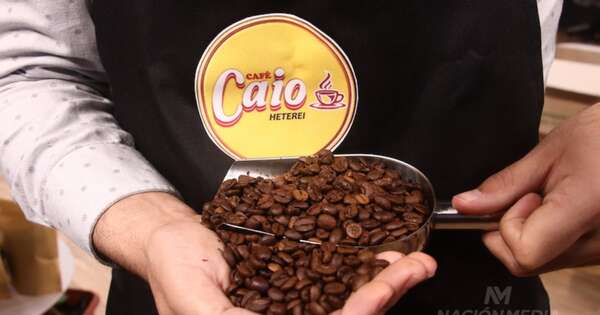 La Nación / El futuro del café en Altos: un legado familiar que perdura