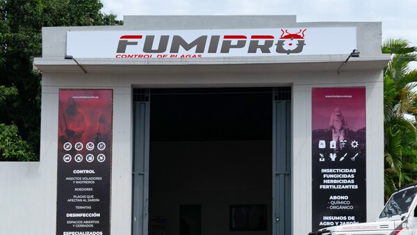 IPS: Contrato de fumigación saltó de G. 2.100 millones a 9.500 millones