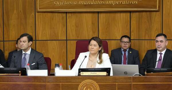 La Nación / Bicameral inició el estudio del PGN 2025